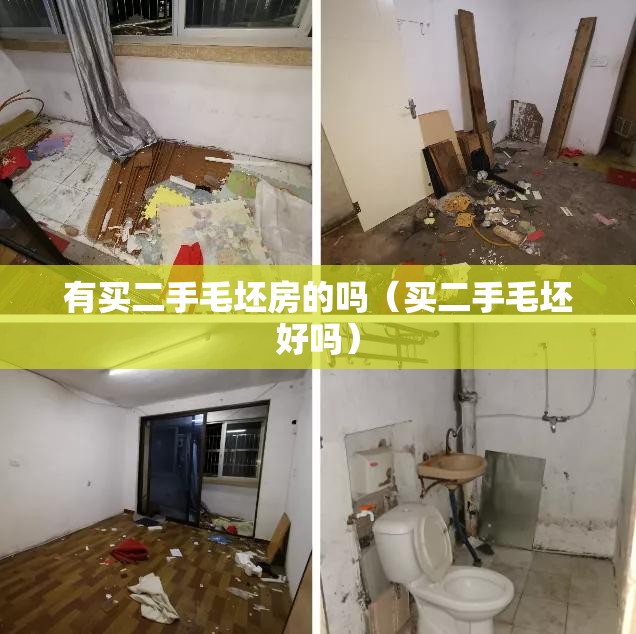 有买二手毛坯房的吗(买二手毛坯好吗) 有买二手毛坯房的吗(买二手毛坯好吗)