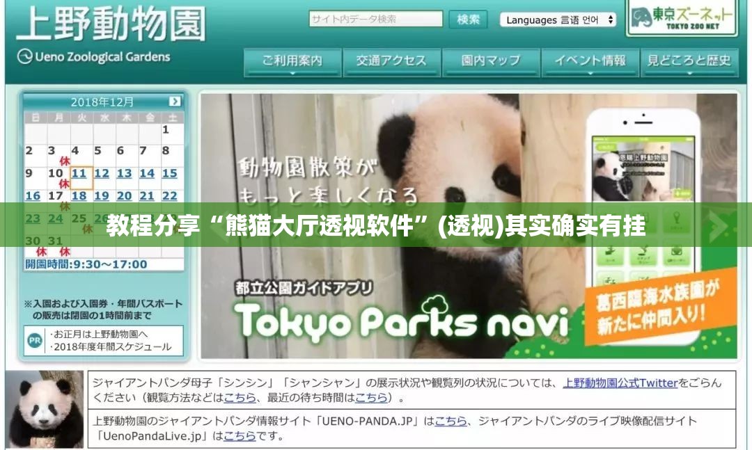 教程分享“熊猫大厅透视软件”(透视)其实确实有挂