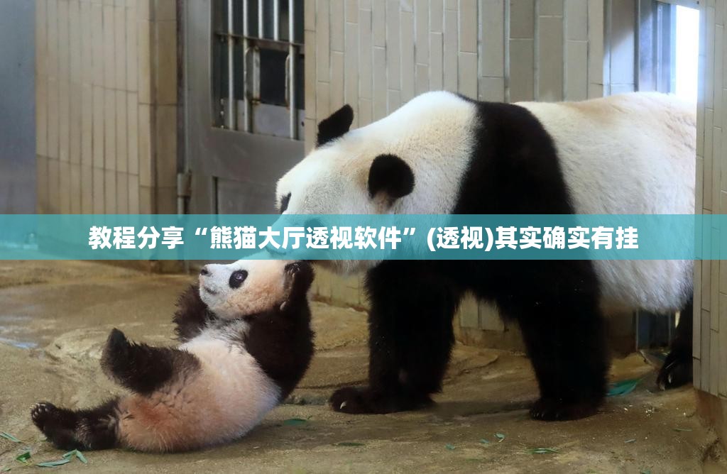 教程分享“熊猫大厅透视软件”(透视)其实确实有挂