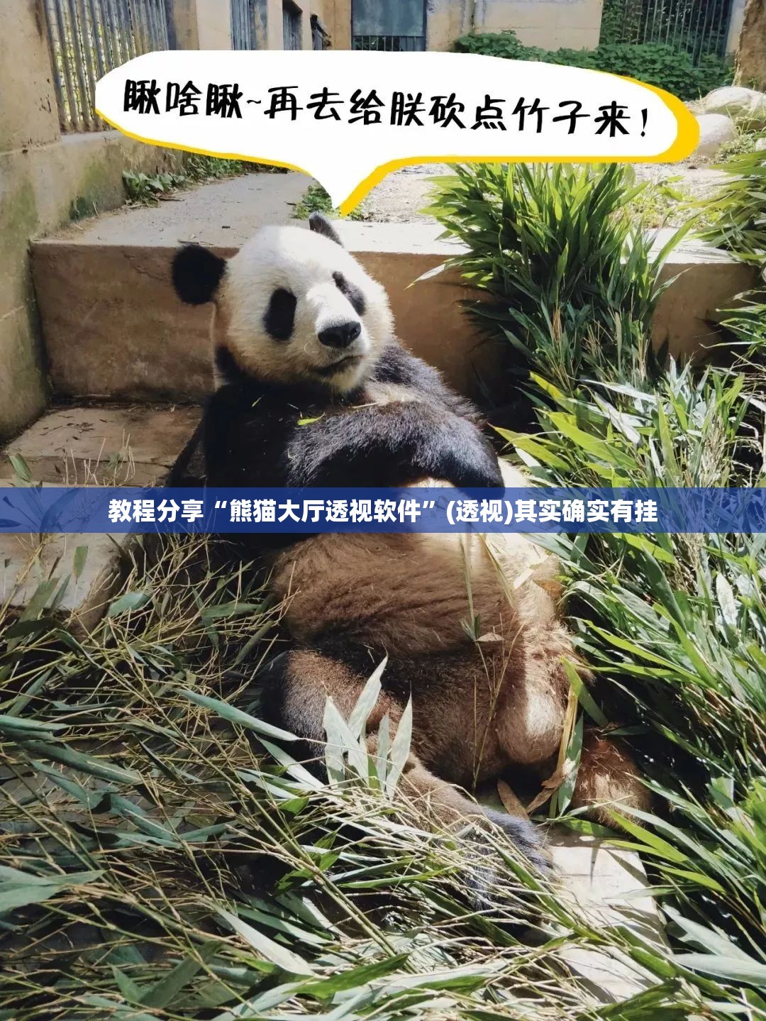 教程分享“熊猫大厅透视软件	”(透视)其实确实有挂