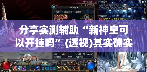 分享实测辅助“新神皇可以开挂吗”(透视)其实确实有挂