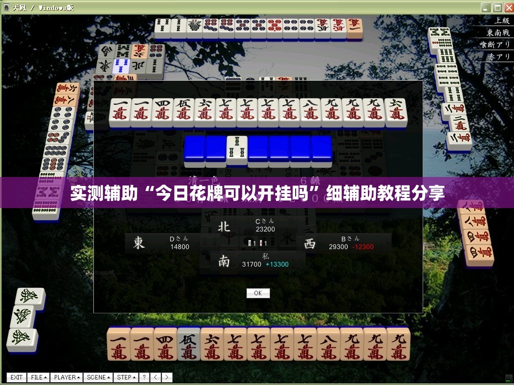 实测辅助“今日花牌可以开挂吗”细辅助教程分享