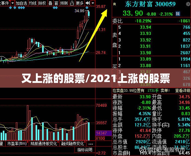 又上涨的股票/2021上涨的股票 又上涨的股票/2021上涨的股票