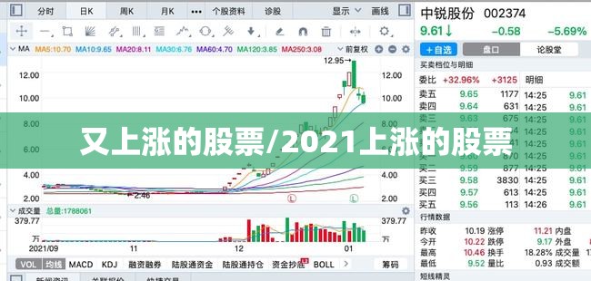 又上涨的股票/2021上涨的股票 又上涨的股票/2021上涨的股票