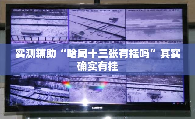 实测辅助“哈局十三张有挂吗”其实确实有挂