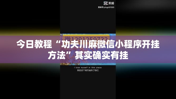 今日教程“功夫川麻微信小程序开挂方法”其实确实有挂