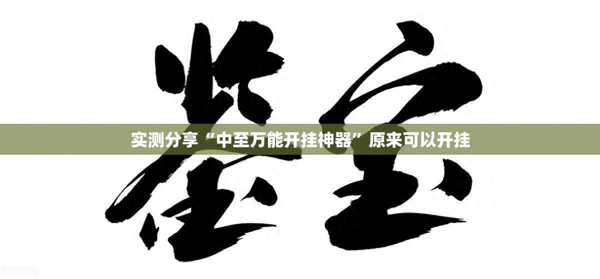 实测分享“中至万能开挂神器”原来可以开挂