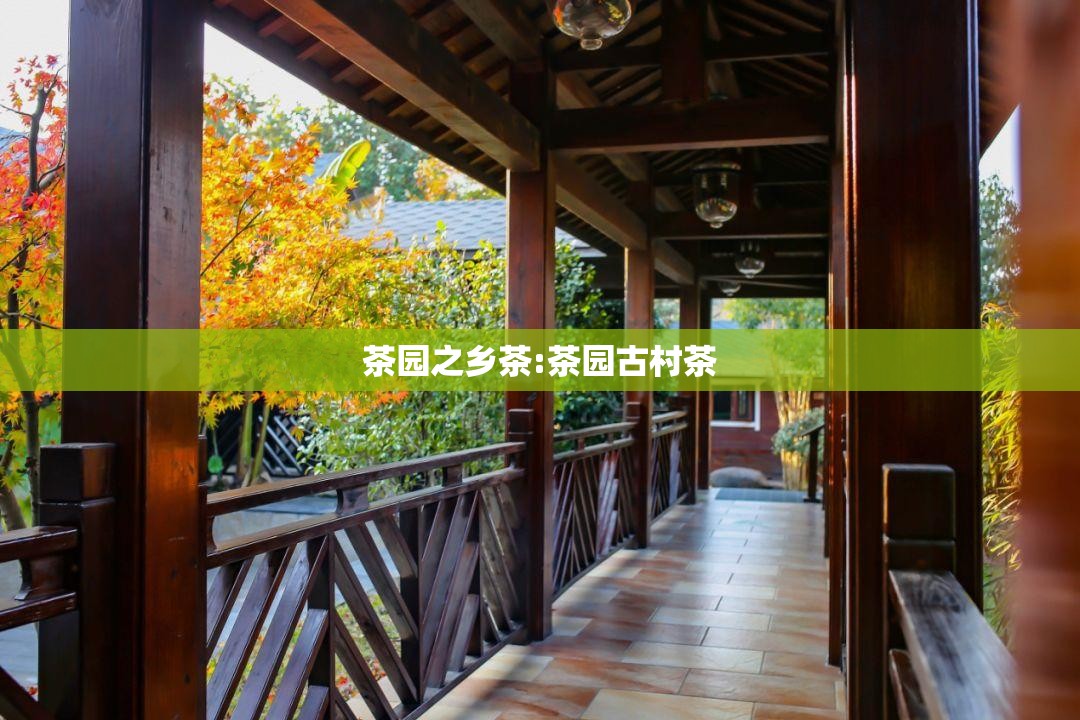 茶园之乡茶:茶园古村茶 茶园之乡茶:茶园古村茶