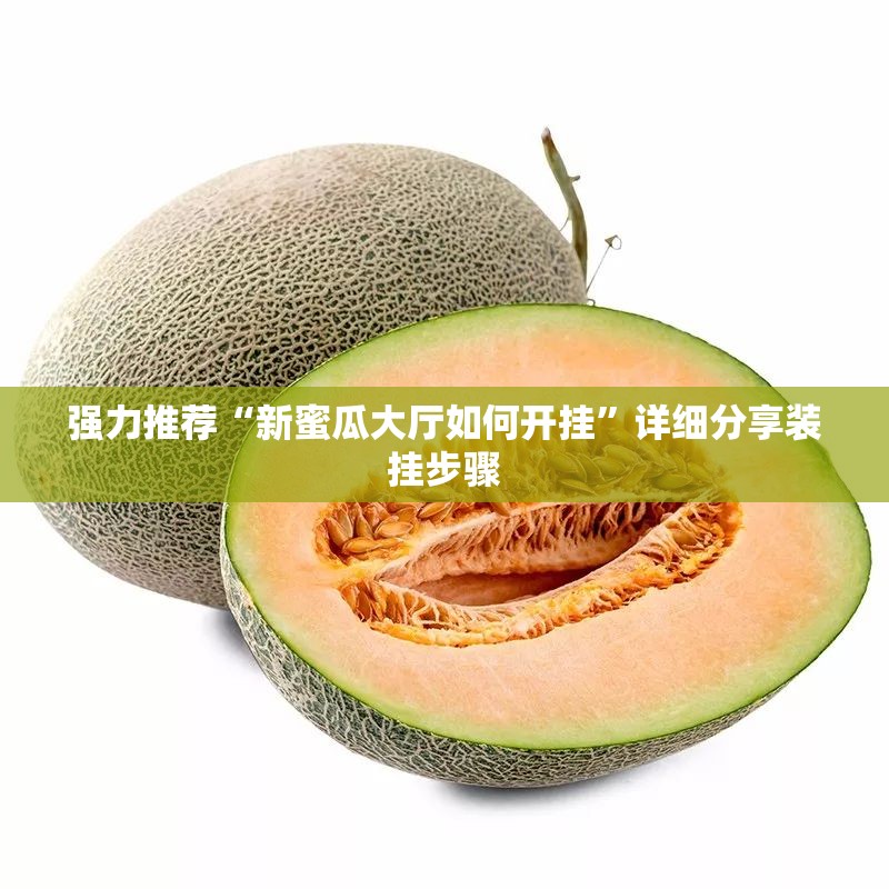 强力推荐“新蜜瓜大厅如何开挂	”详细分享装挂步骤