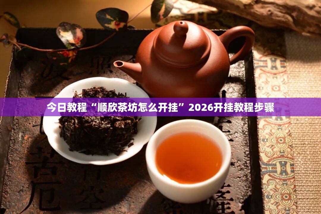 今日教程“顺欣茶坊怎么开挂”2026开挂教程步骤