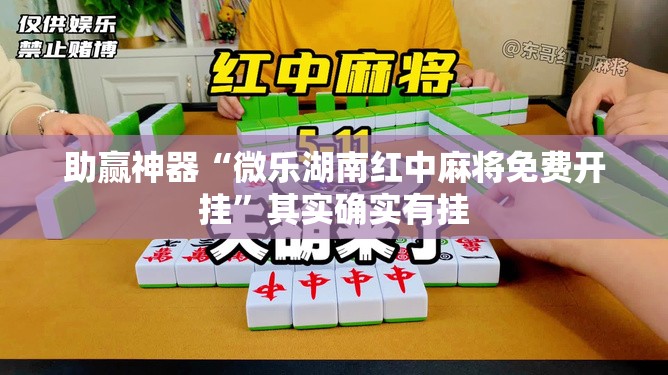 助赢神器“微乐湖南红中麻将免费开挂	”其实确实有挂