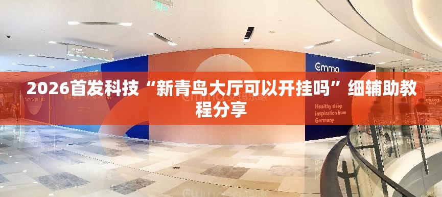 2026首发科技“新青鸟大厅可以开挂吗”细辅助教程分享