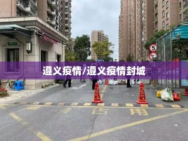 遵义疫情/遵义疫情封城 遵义疫情/遵义疫情封城