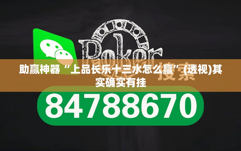 助赢神器“上品长乐十三水怎么赢”(透视)其实确实有挂
