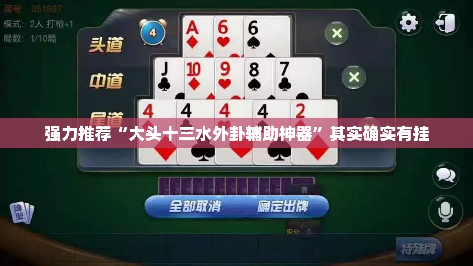 强力推荐“大头十三水外卦辅助神器	”其实确实有挂