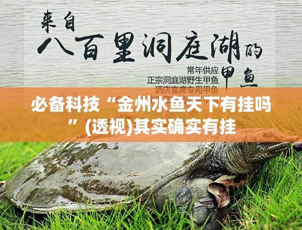 必备科技“金州水鱼天下有挂吗”(透视)其实确实有挂