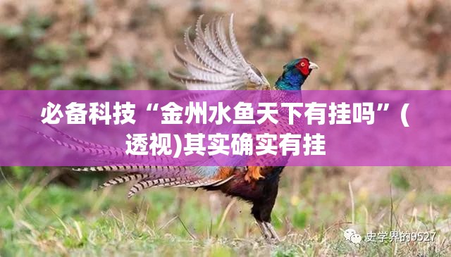 必备科技“金州水鱼天下有挂吗”(透视)其实确实有挂