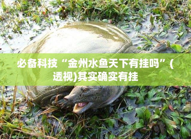必备科技“金州水鱼天下有挂吗”(透视)其实确实有挂
