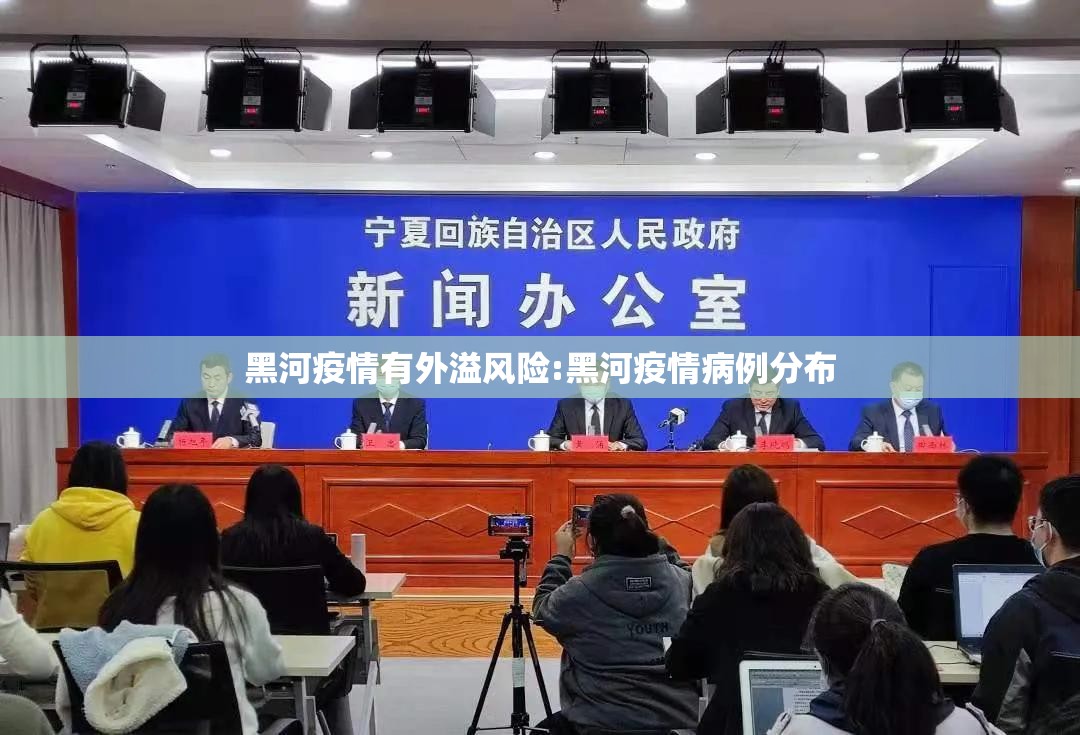 黑河疫情有外溢风险:黑河疫情病例分布 黑河疫情有外溢风险:黑河疫情病例分布