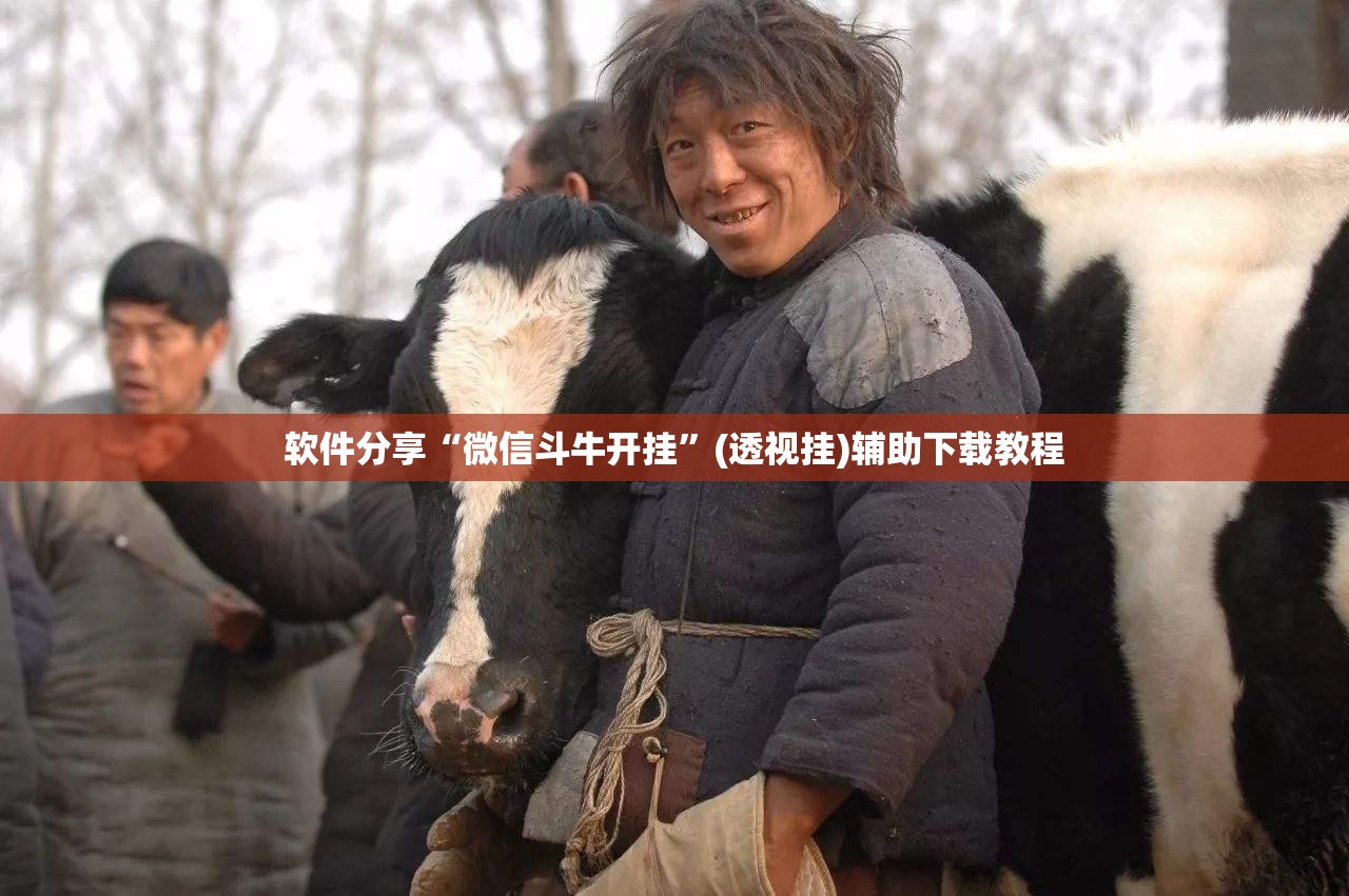 软件分享“微信斗牛开挂	”(透视挂)辅助下载教程