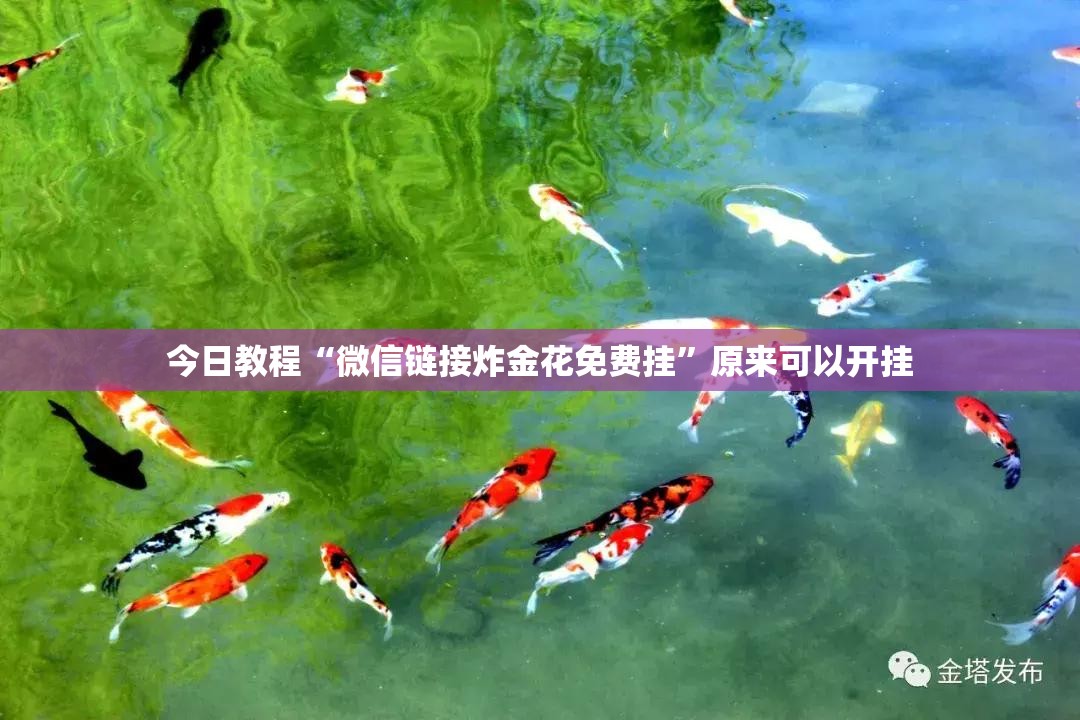 今日教程“微信链接炸金花免费挂”原来可以开挂