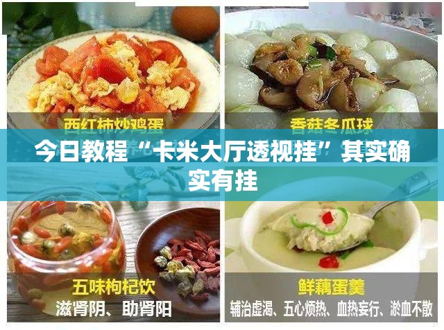 今日教程“卡米大厅透视挂	”其实确实有挂