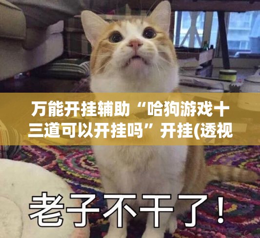 万能开挂辅助“哈狗游戏十三道可以开挂吗	”开挂(透视)最新辅助详细