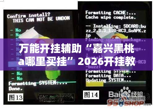 万能开挂辅助“嘉兴黑桃a哪里买挂	”2026开挂教程步骤
