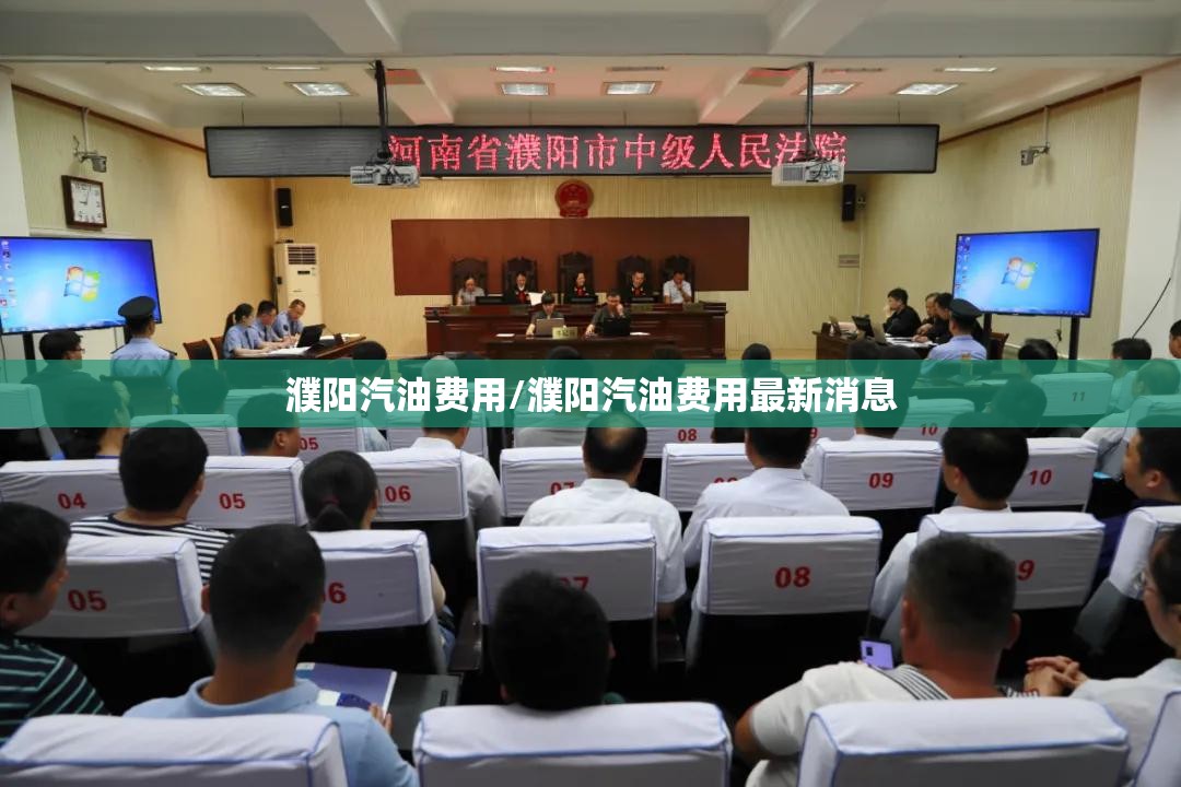 濮阳汽油费用/濮阳汽油费用最新消息 濮阳汽油费用/濮阳汽油费用最新消息