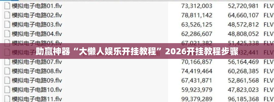 助赢神器“大懒人娱乐开挂教程”2026开挂教程步骤