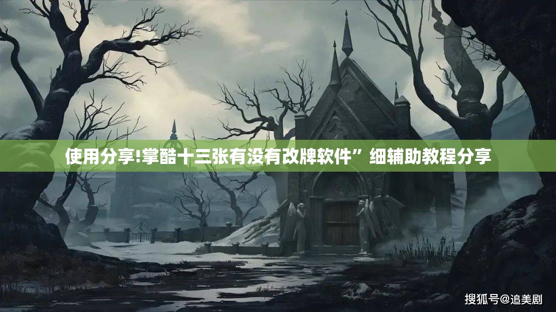 使用分享!掌酷十三张有没有改牌软件”细辅助教程分享