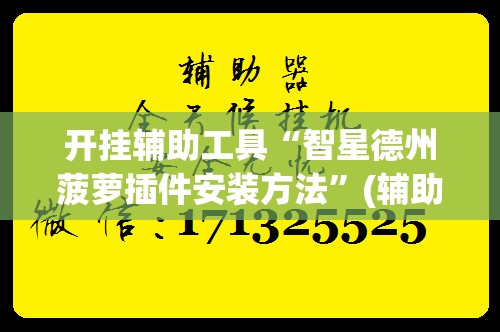 开挂辅助工具“智星德州菠萝插件安装方法”(辅助神器)开挂详细教程