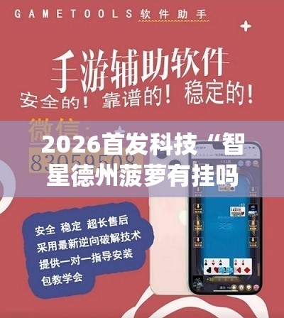 2026首发科技“智星德州菠萝有挂吗”(透视挂)辅助下载教程