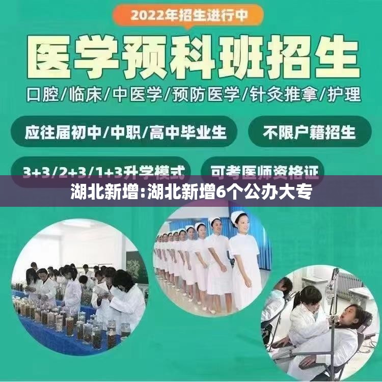 湖北新增:湖北新增6个公办大专 湖北新增:湖北新增6个公办大专