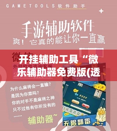 开挂辅助工具“微乐辅助器免费版(透视)”开挂辅助脚本+详细开挂安装教程
