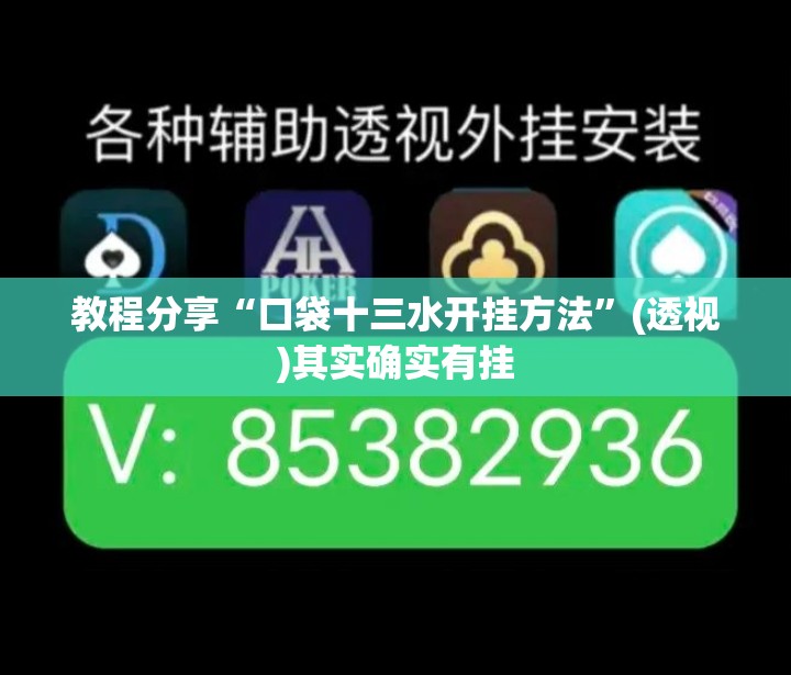 教程分享“口袋十三水开挂方法”(透视)其实确实有挂