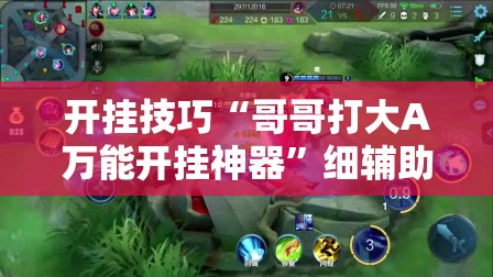 开挂技巧“哥哥打大A万能开挂神器”细辅助教程分享