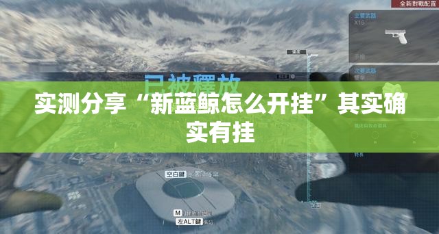 实测分享“新蓝鲸怎么开挂”其实确实有挂