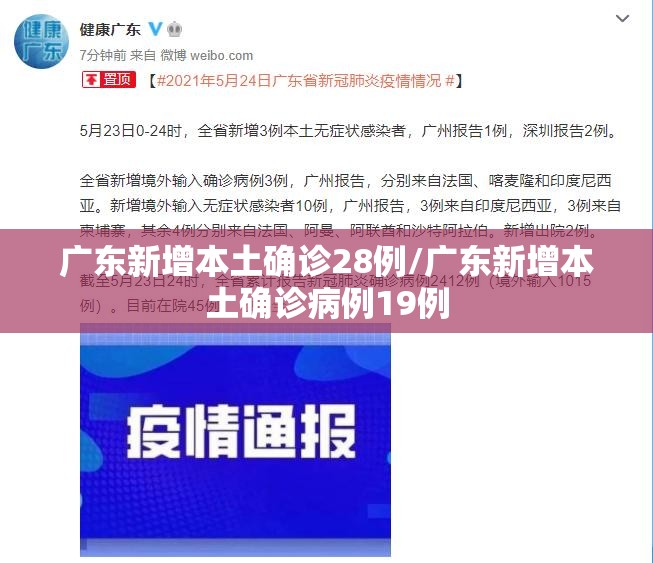 广东新增本土确诊28例/广东新增本土确诊病例19例