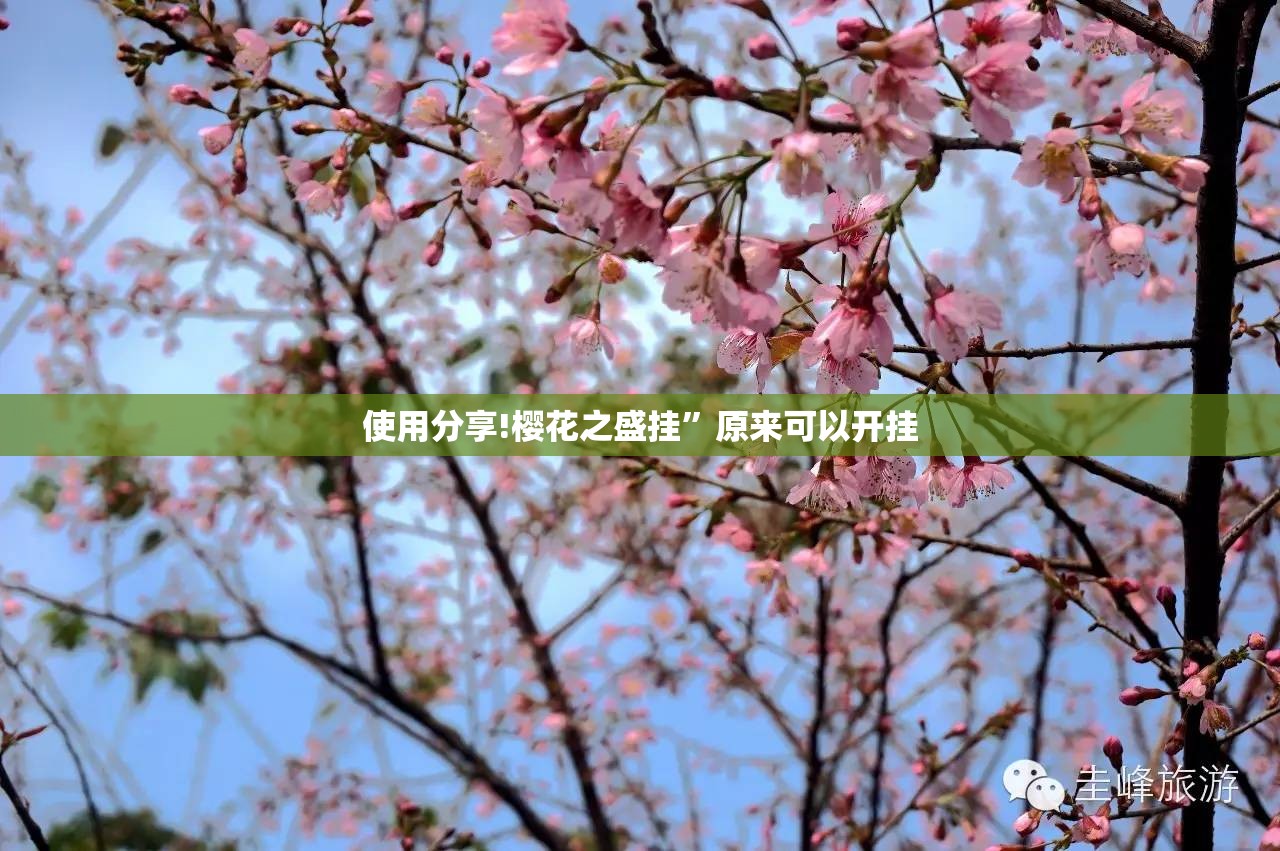 使用分享!樱花之盛挂	”原来可以开挂