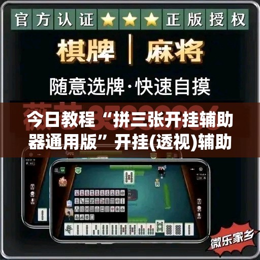 今日教程“拼三张开挂辅助器通用版”开挂(透视)辅助神器