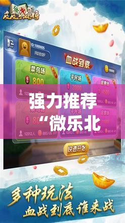 强力推荐“微乐北京麻将开挂辅助器通用版	”(辅助神器)开挂详细教程
