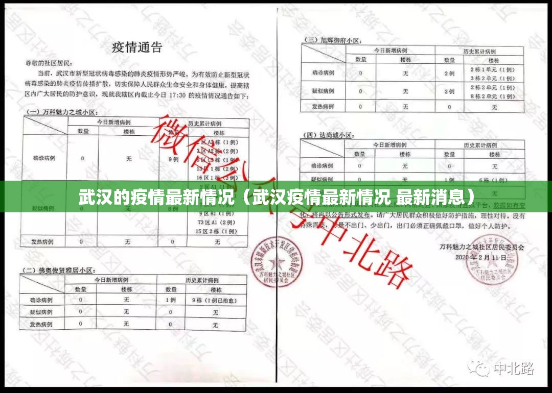 武汉的疫情最新情况(武汉疫情最新情况 最新消息) 武汉的疫情最新情况(武汉疫情最新情况 最新消息)