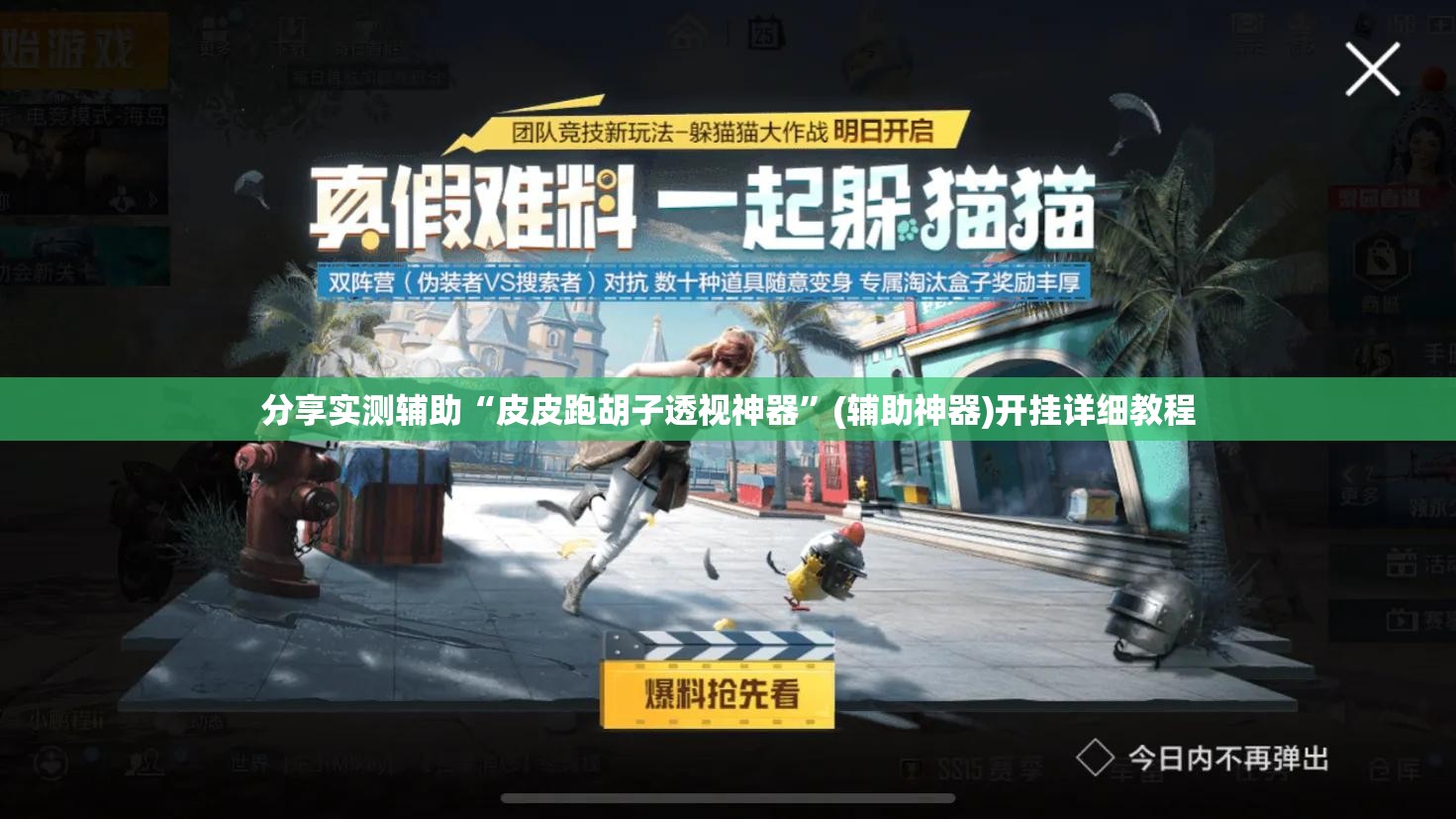 分享实测辅助“皮皮跑胡子透视神器”(辅助神器)开挂详细教程