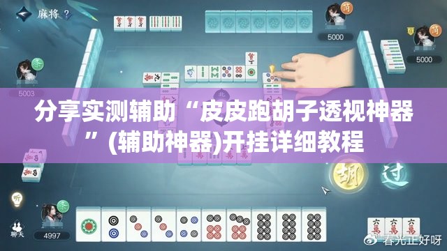 分享实测辅助“皮皮跑胡子透视神器”(辅助神器)开挂详细教程