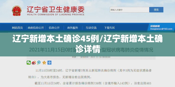 辽宁新增本土确诊45例/辽宁新增本土确诊详情 辽宁新增本土确诊45例/辽宁新增本土确诊详情