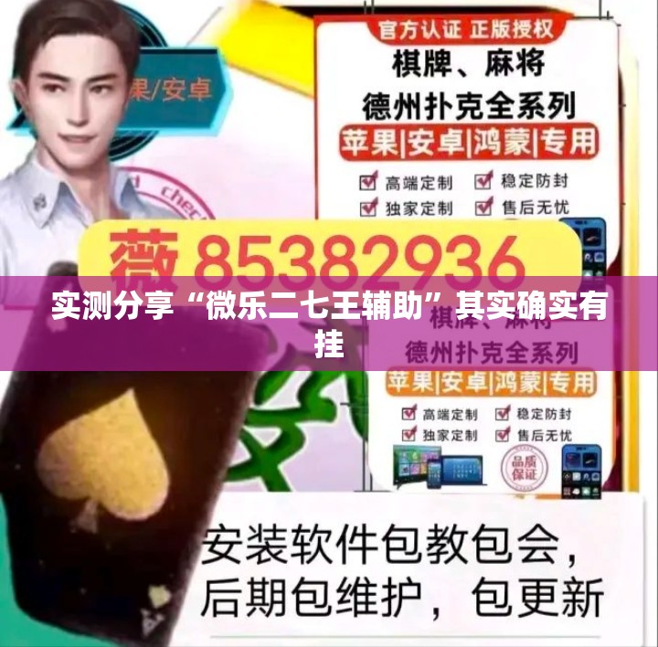 实测分享“微乐二七王辅助”其实确实有挂