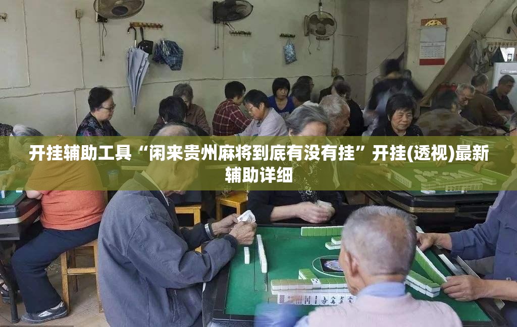 开挂辅助工具“闲来贵州麻将到底有没有挂”开挂(透视)最新辅助详细
