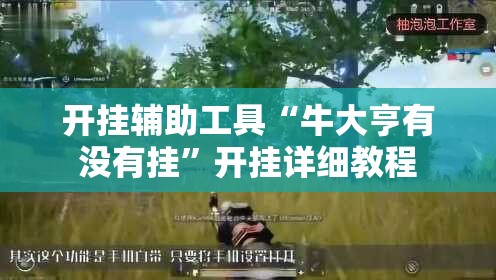 开挂辅助工具“牛大亨有没有挂”开挂详细教程