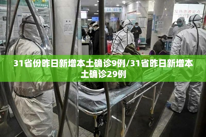 31省份昨日新增本土确诊9例/31省昨日新增本土确诊29例 31省份昨日新增本土确诊9例/31省昨日新增本土确诊29例